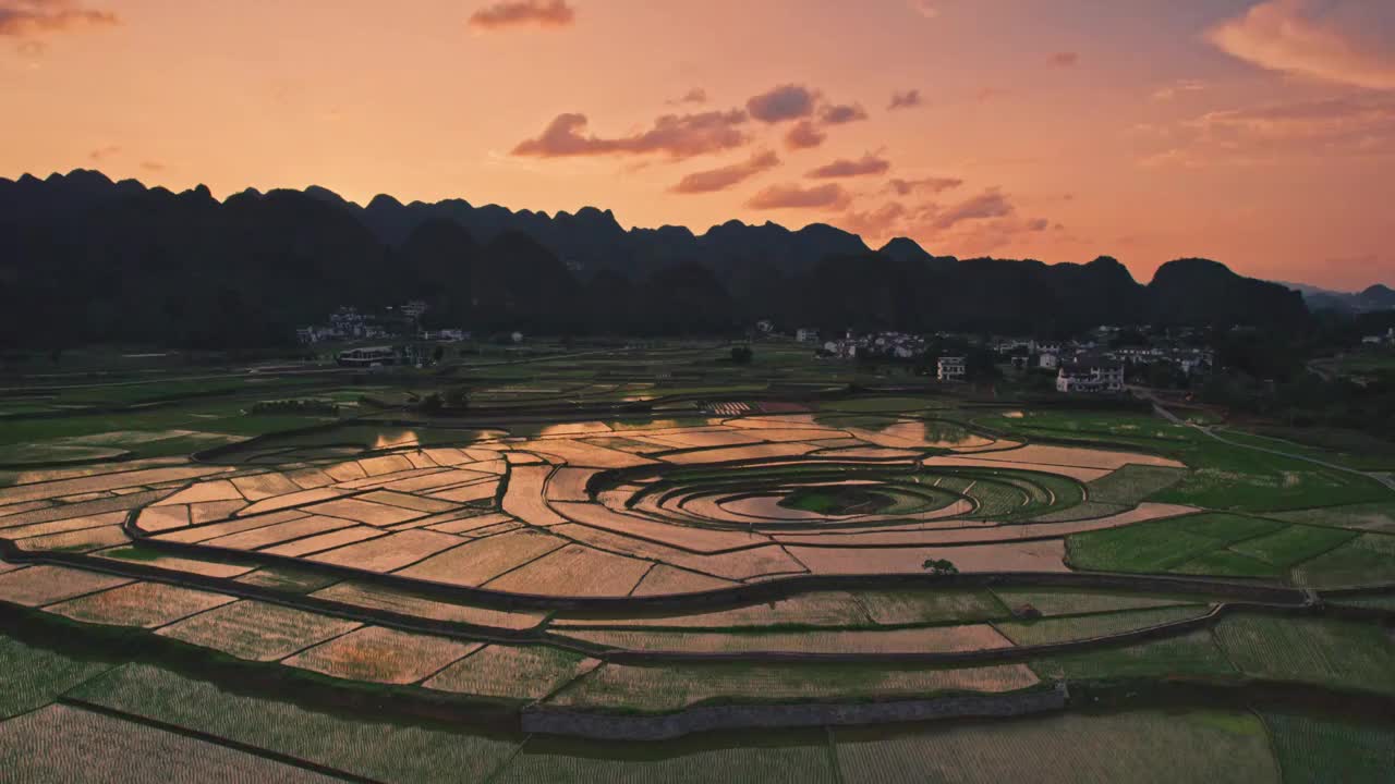 万峰林八卦田稻田视频素材