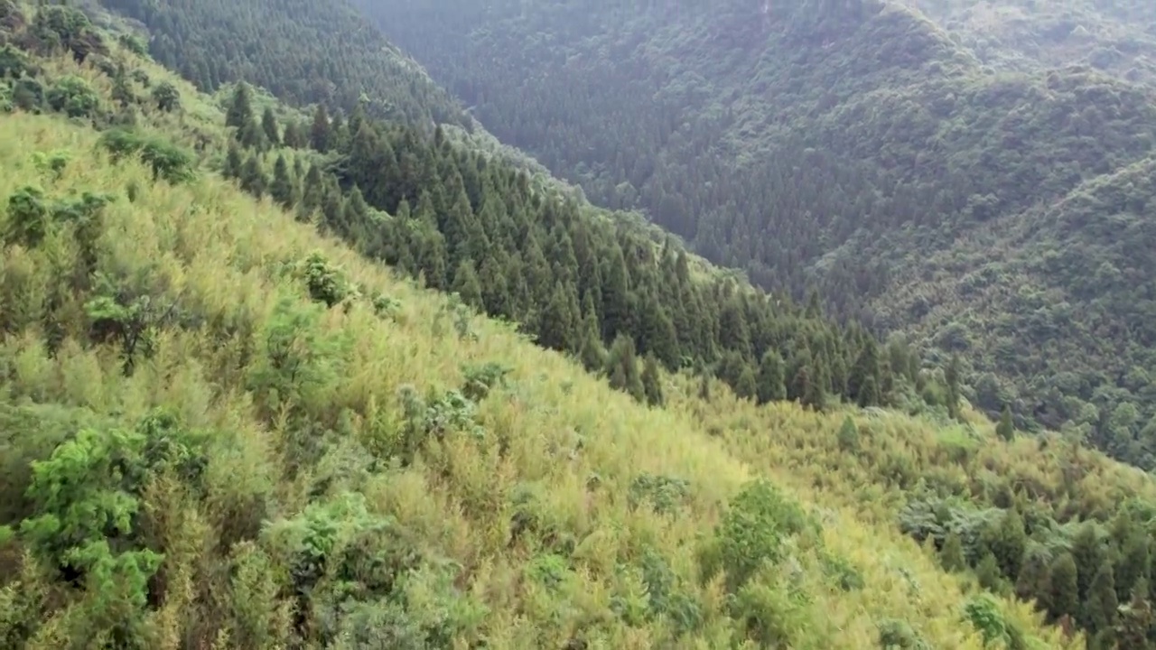 四川广安市华蓥山旅游风景区的山和森林视频素材