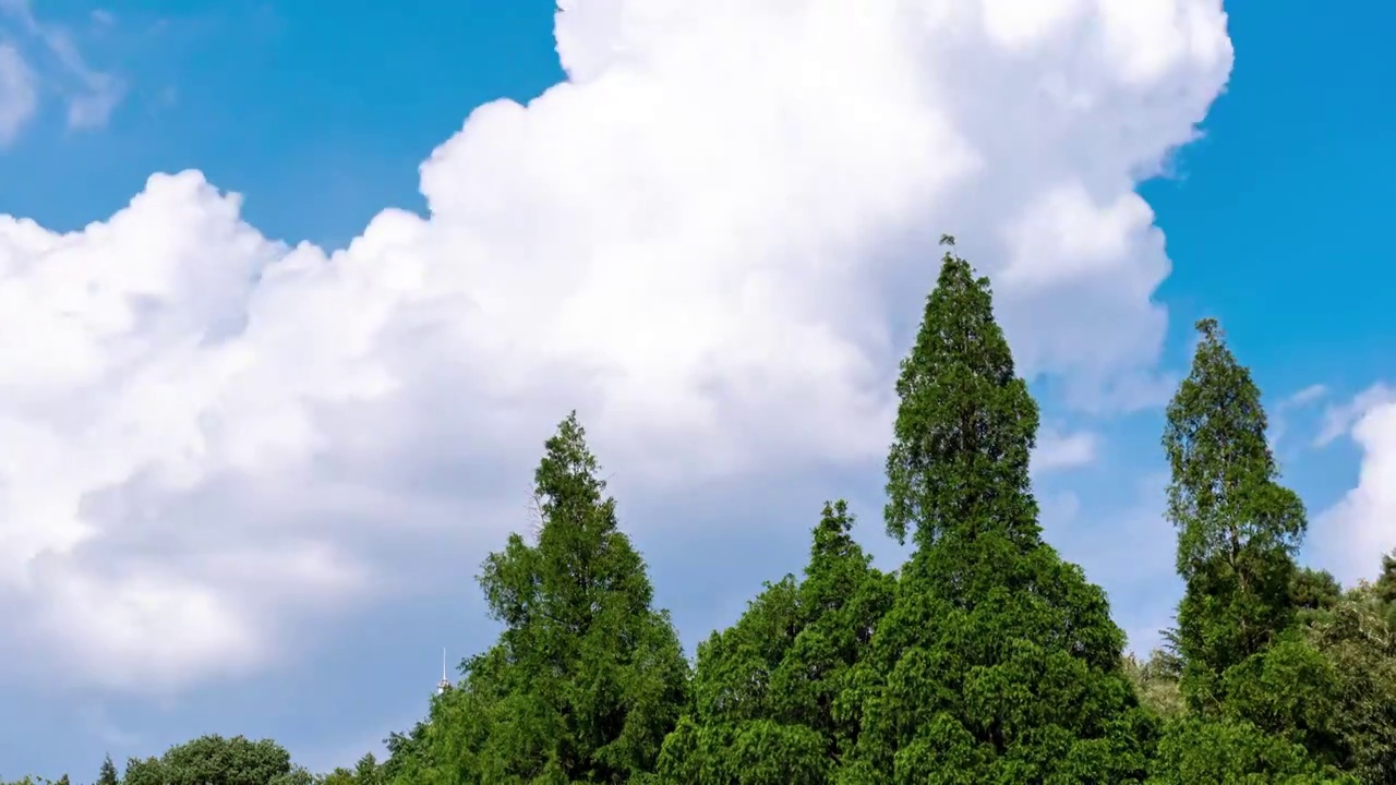 夏日晴空视频素材