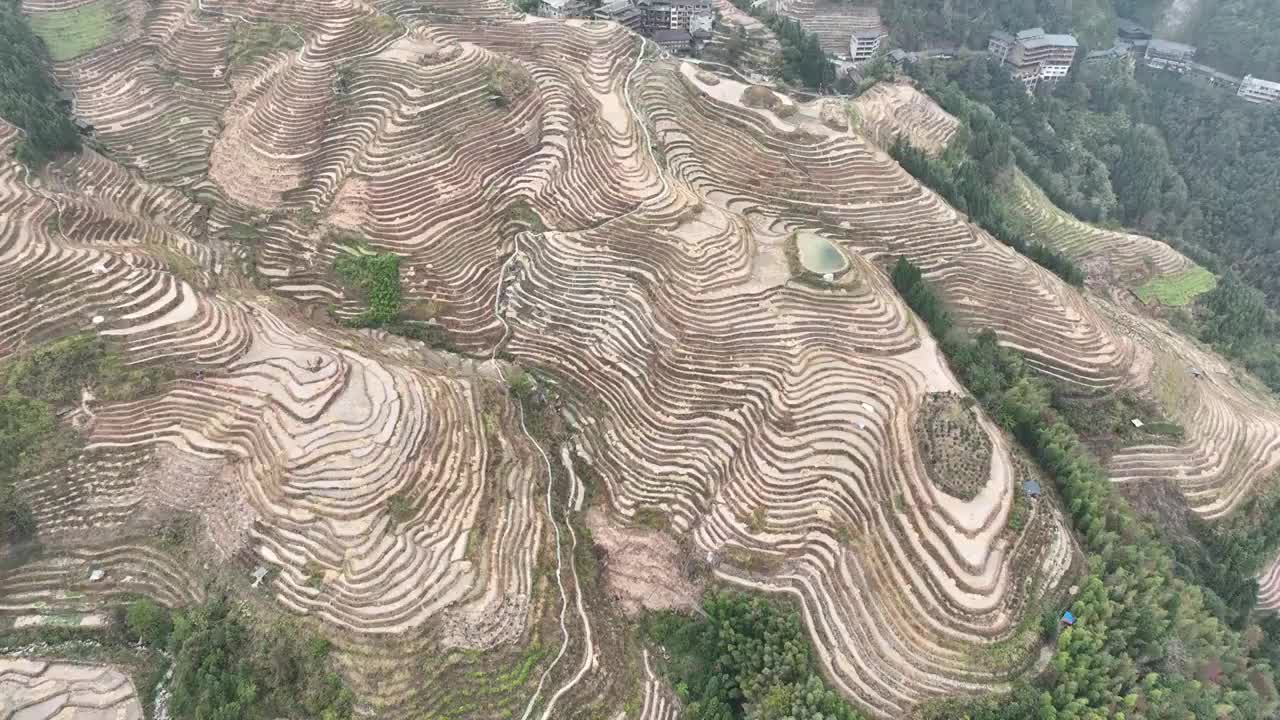 广西桂林龙胜梯田夏季风光航拍视频素材