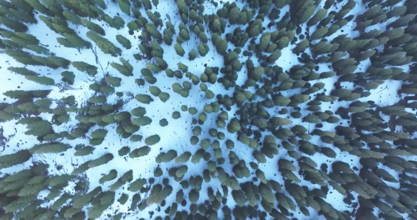 航拍新疆喀拉峻大草原雪景视频素材