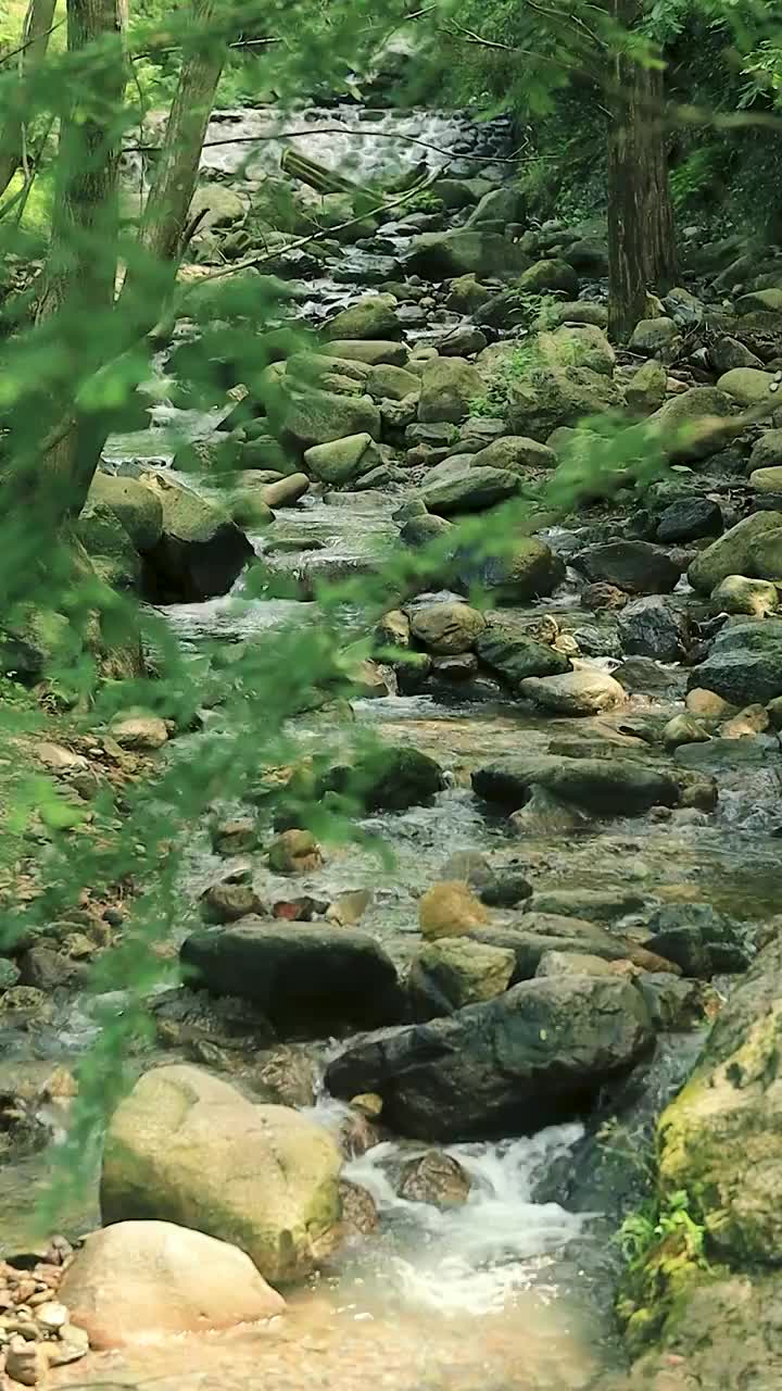 森林峡谷间的溪流，流水穿过乱石，透着一股清凉的气息视频素材