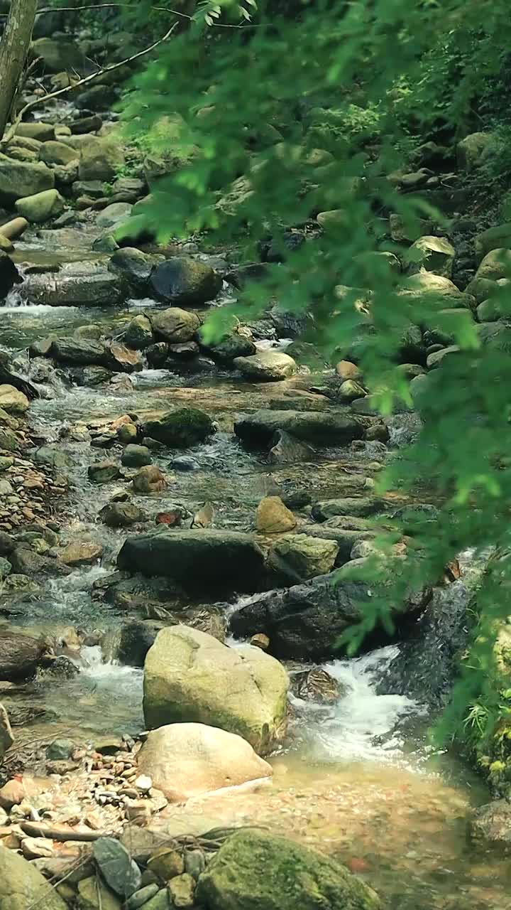 森林峡谷间的溪流，清凉的避暑圣地视频素材