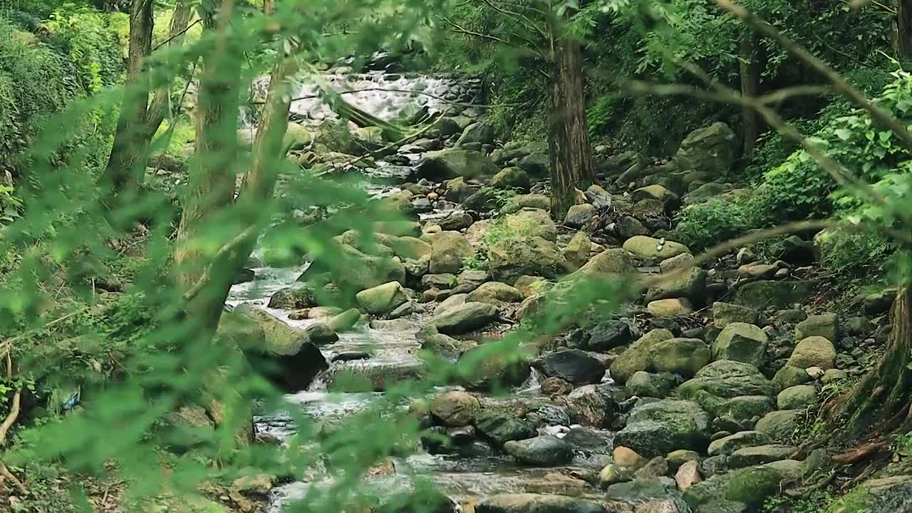 森林中的溪流在乱石间流过视频素材