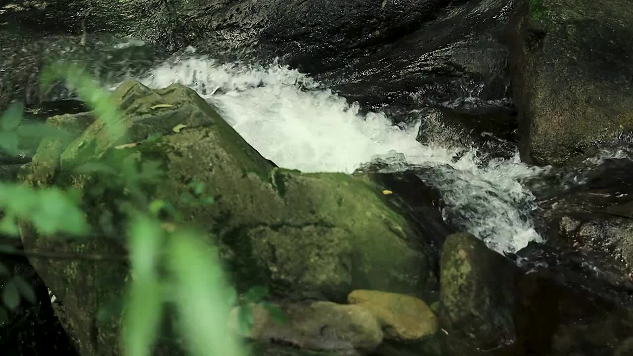 长满苔藓巨石间的溪流视频素材