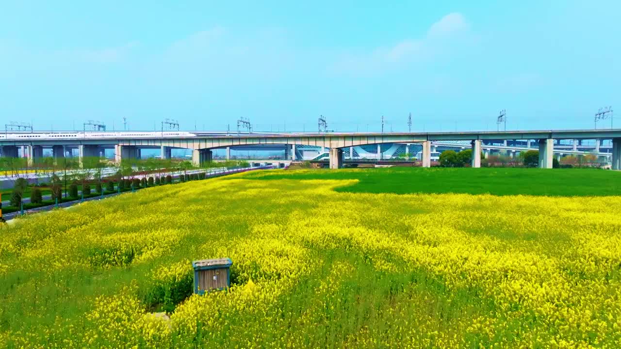 油菜花高铁航拍视频下载