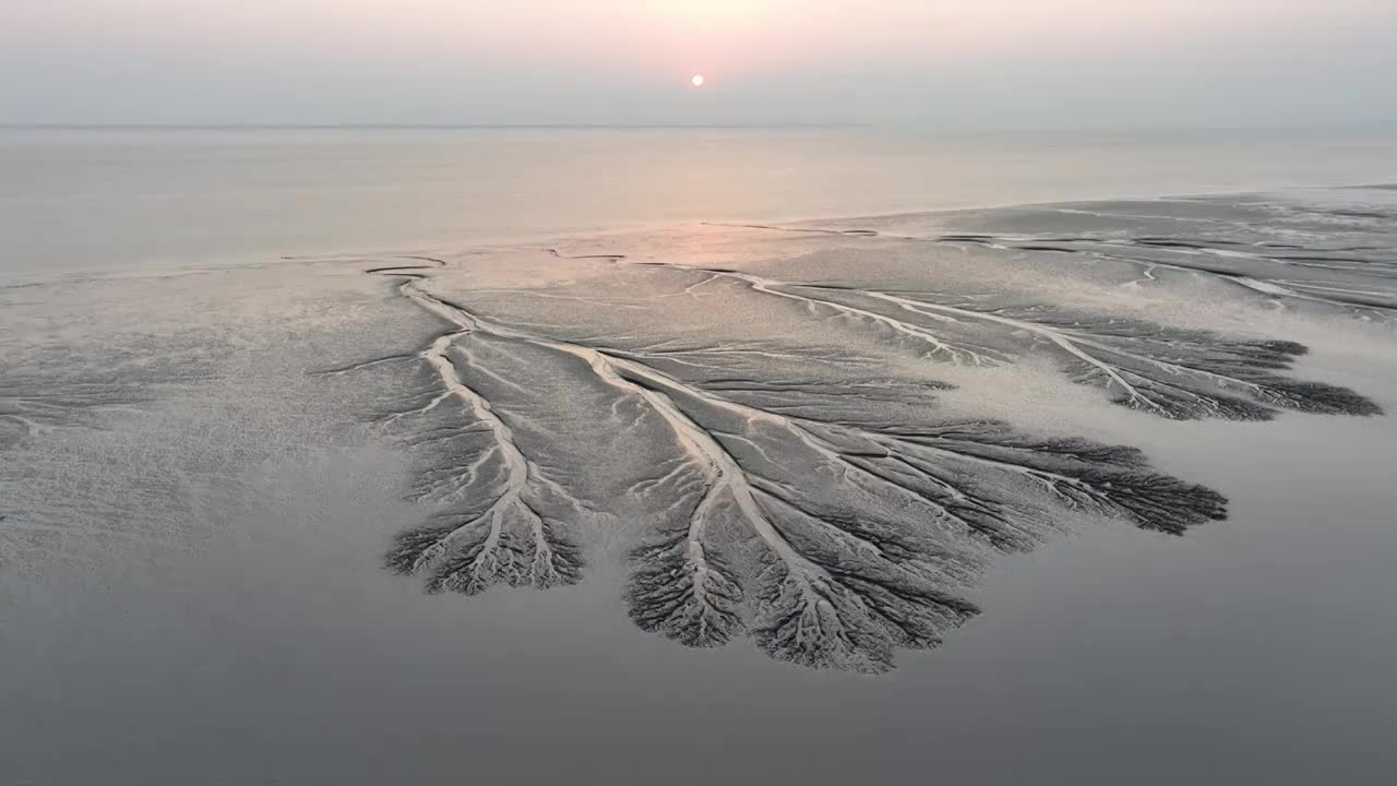 浙江嘉兴市海宁钱塘江夕阳下潮汐树航拍视频素材