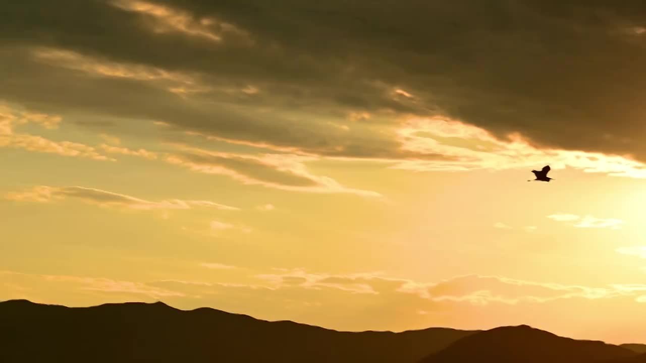 北京皇家园林颐和园夕阳落日晚霞延时视频素材