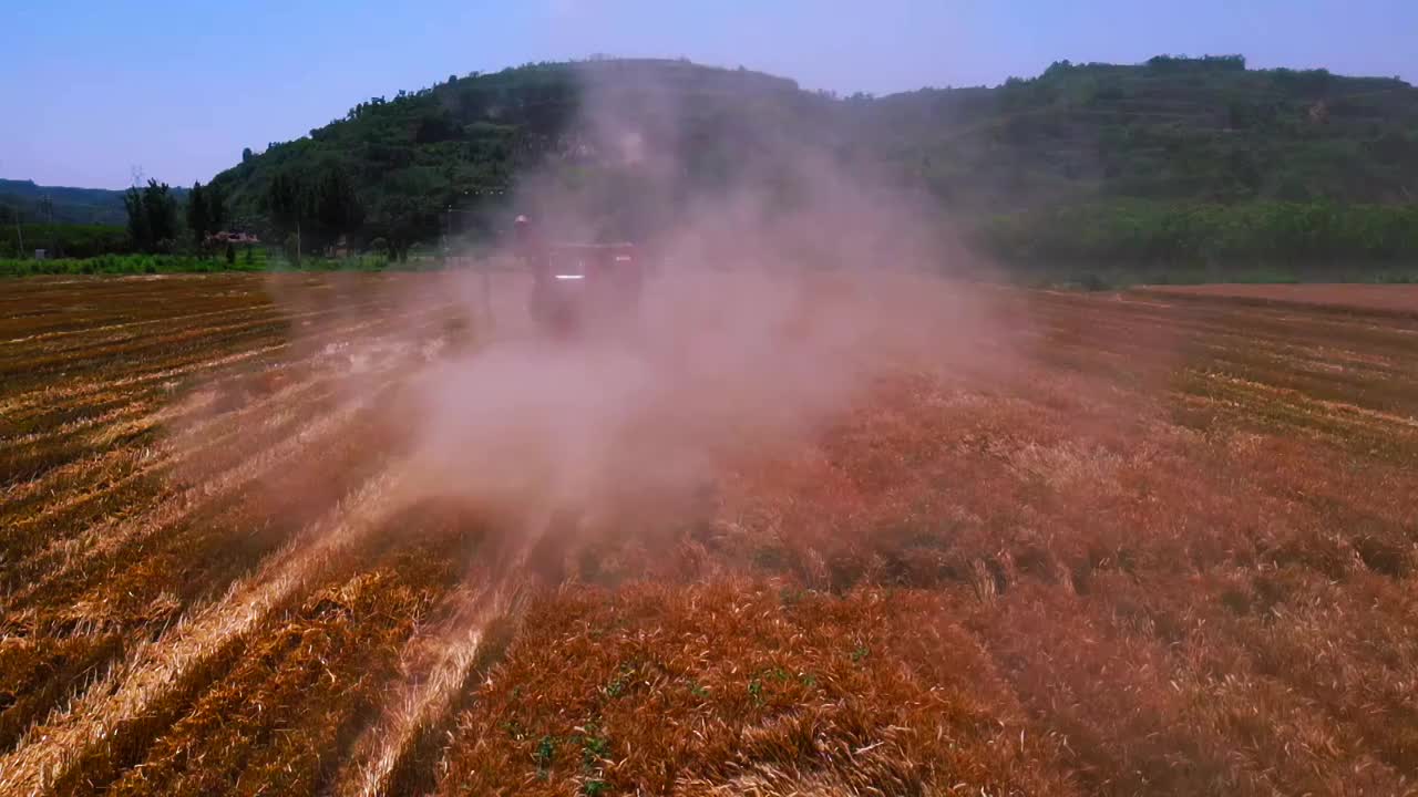 黄河滩麦田视频素材