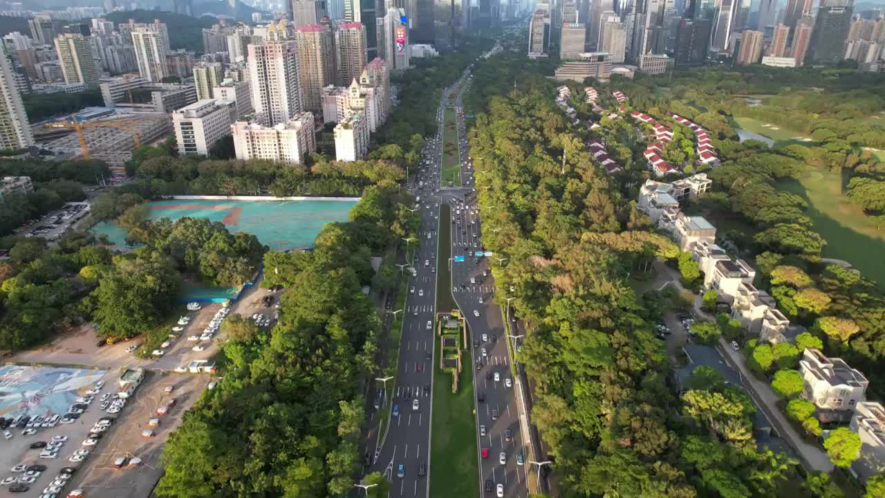 航拍深圳城区-深南大道福田段视频素材