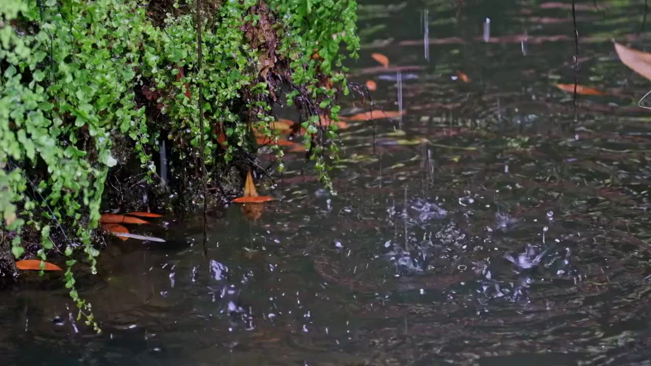 假山上的瀑布以及岩石滴水视频素材