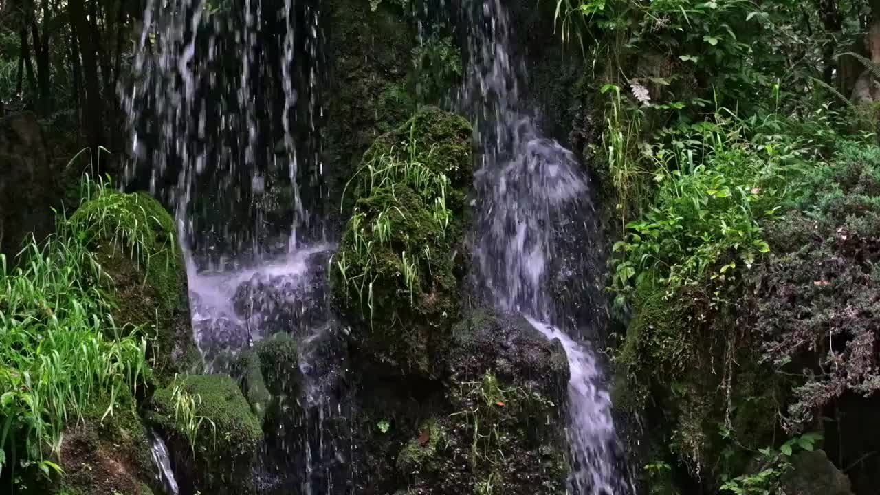 假山上的瀑布以及岩石滴水视频素材