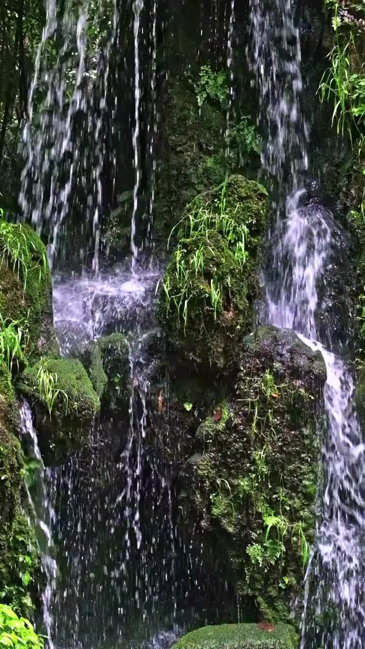 岩石滴水视频素材