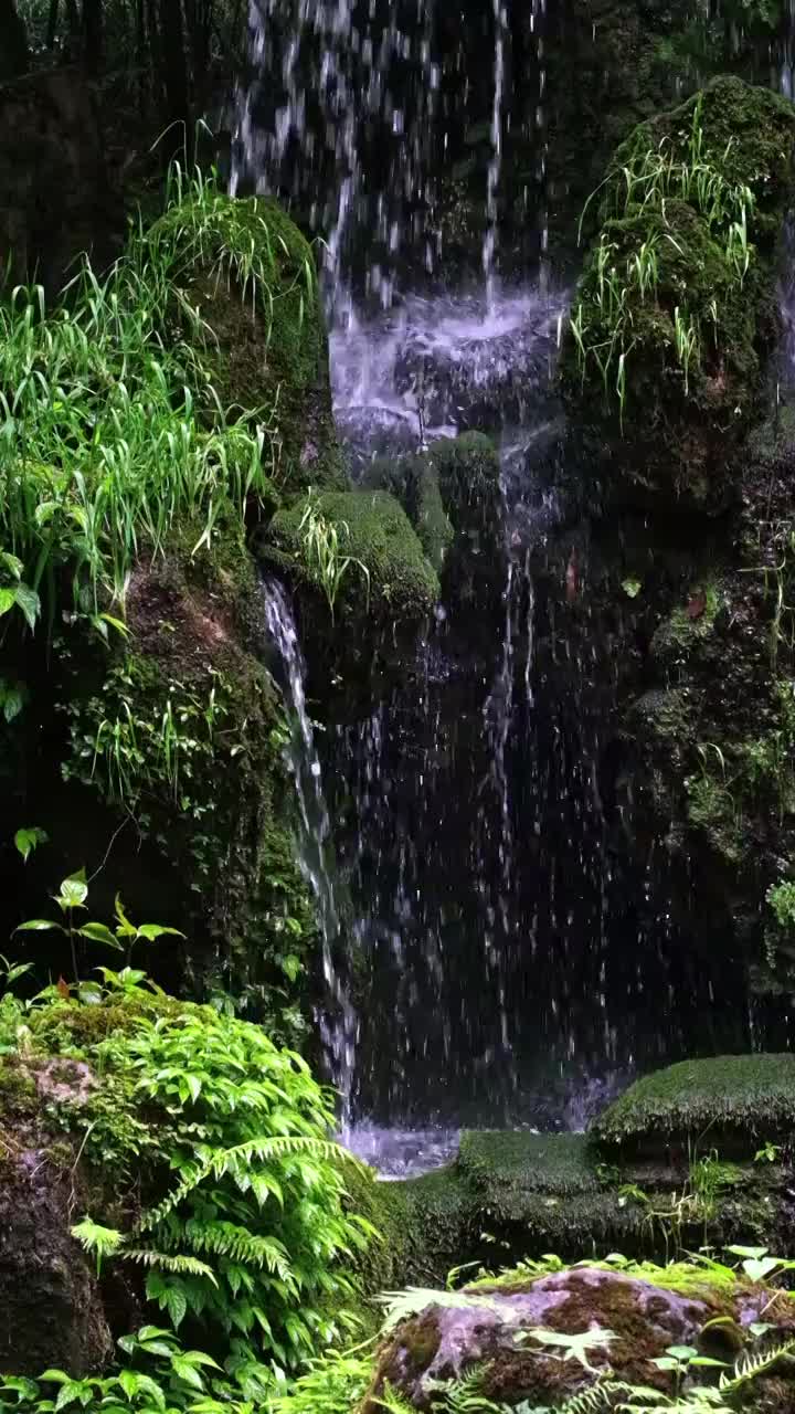 岩石滴水视频素材