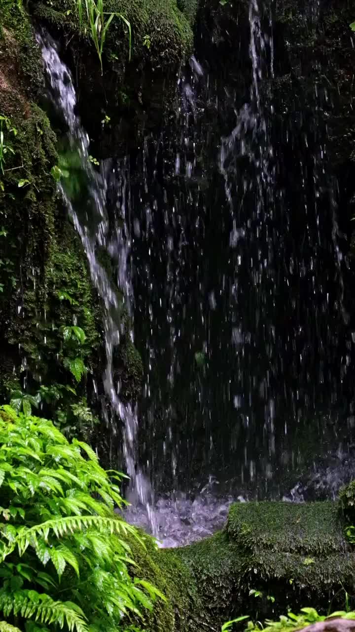 岩石滴水视频素材