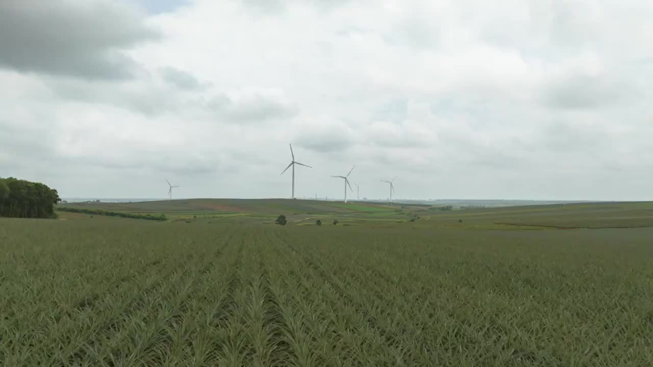 广东湛江徐闻县波罗的海风力发电场航拍美景视频素材