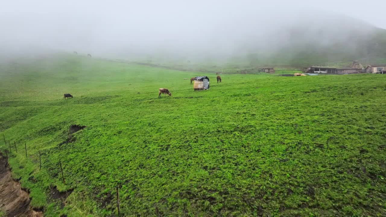 新疆琼库什台后山视频素材