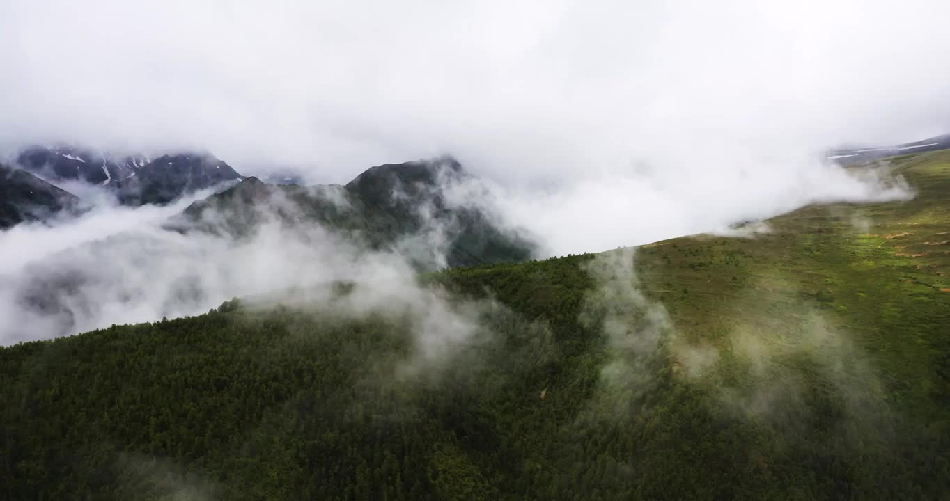 白马雪山山脉天空穿云下雨高原航拍云南森林视频下载