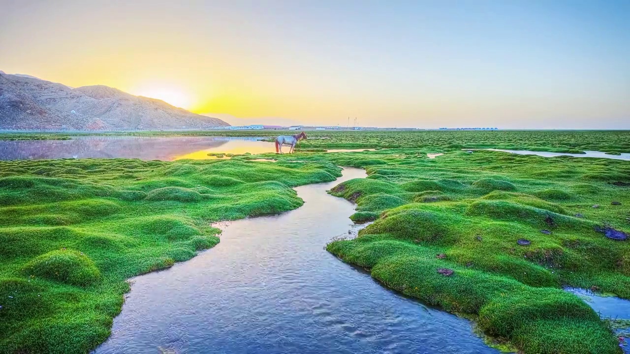 草原之夏（巴音布鲁克）视频下载