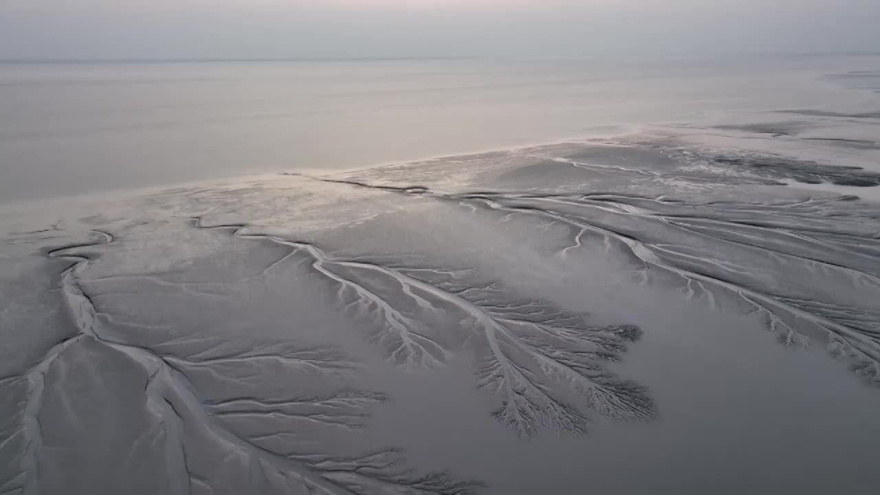 浙江嘉兴市海宁钱塘江夕阳下的潮汐树航拍视频素材