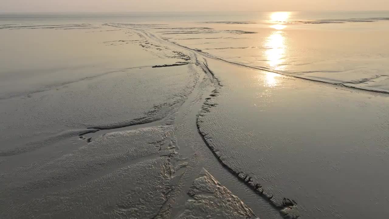 浙江嘉兴市海宁钱塘江夕阳下的潮汐树航拍视频素材