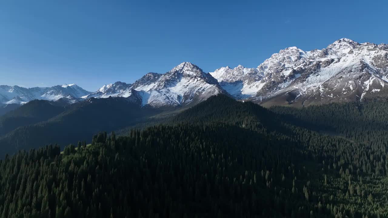 新疆101公路 鹿角湾雪山牧场视频素材