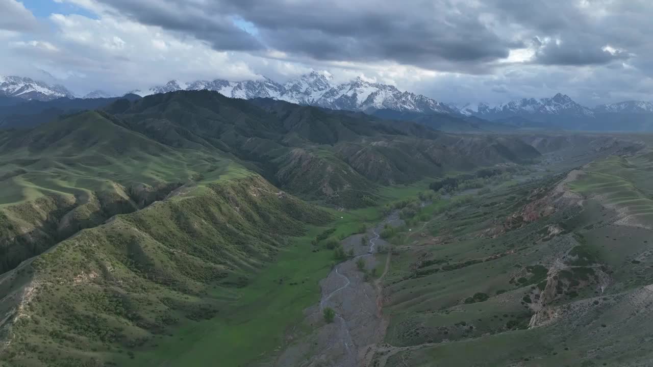 新疆101公路天山 博尔通古乡牧场草原视频素材