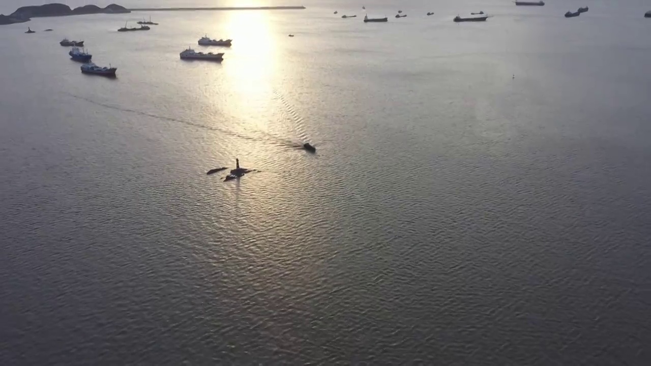 海港里的渔船视频素材