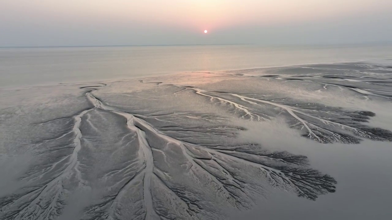 浙江嘉兴市海宁钱塘江夕阳下的潮汐树航拍视频下载