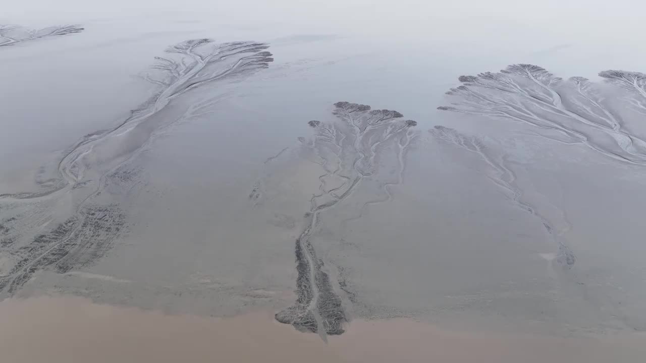 浙江嘉兴市海宁钱塘江夕阳下的潮汐树航拍视频素材