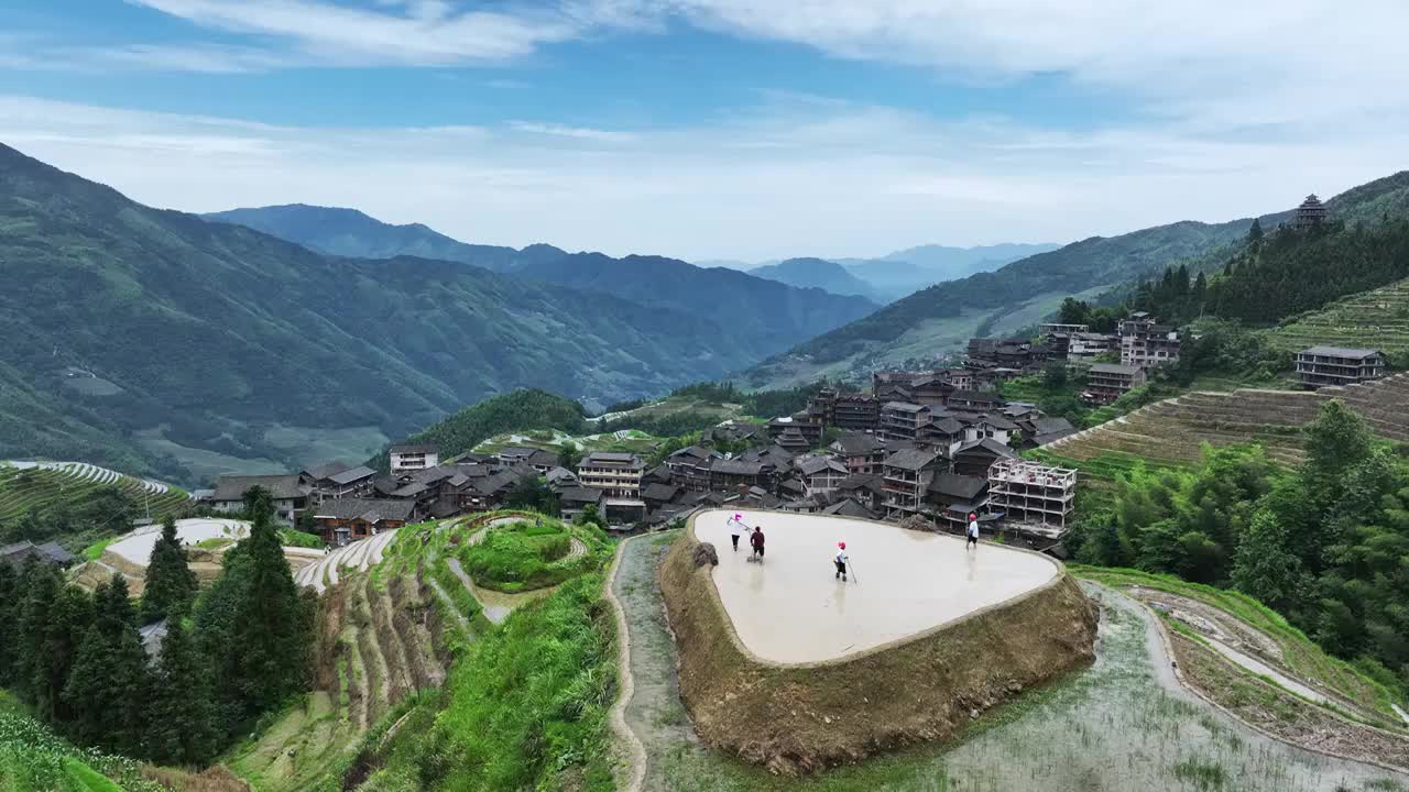 蓝天白云下桂林龙脊梯田壮族村民正在耕田视频素材