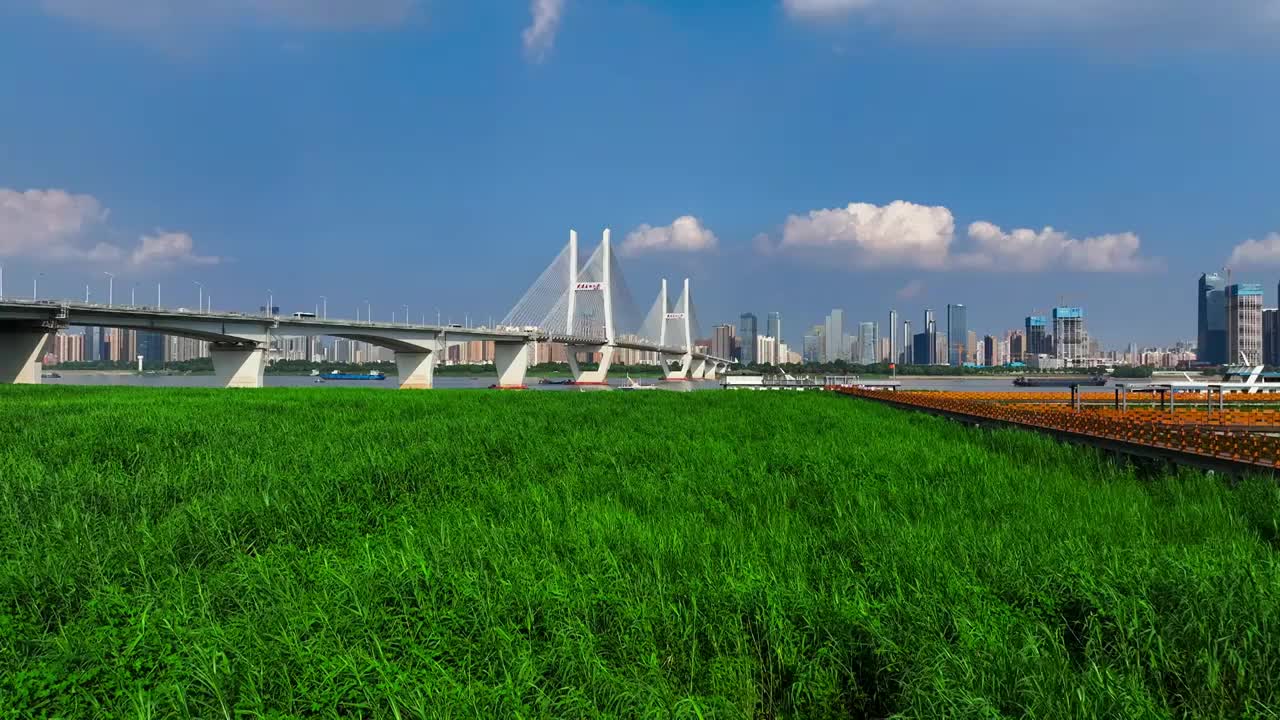 夏季白天航拍武汉长江二桥城市风光视频素材