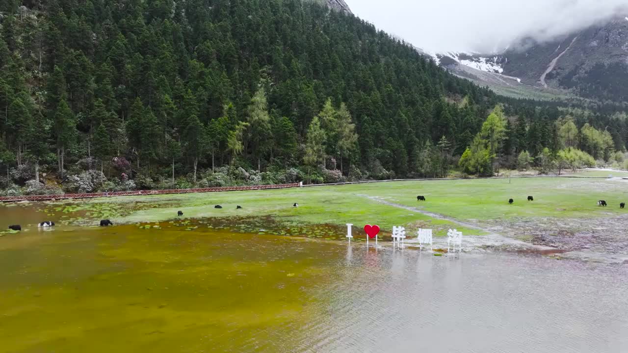 4K航拍川西阿坝州毕棚沟风光美景视频素材