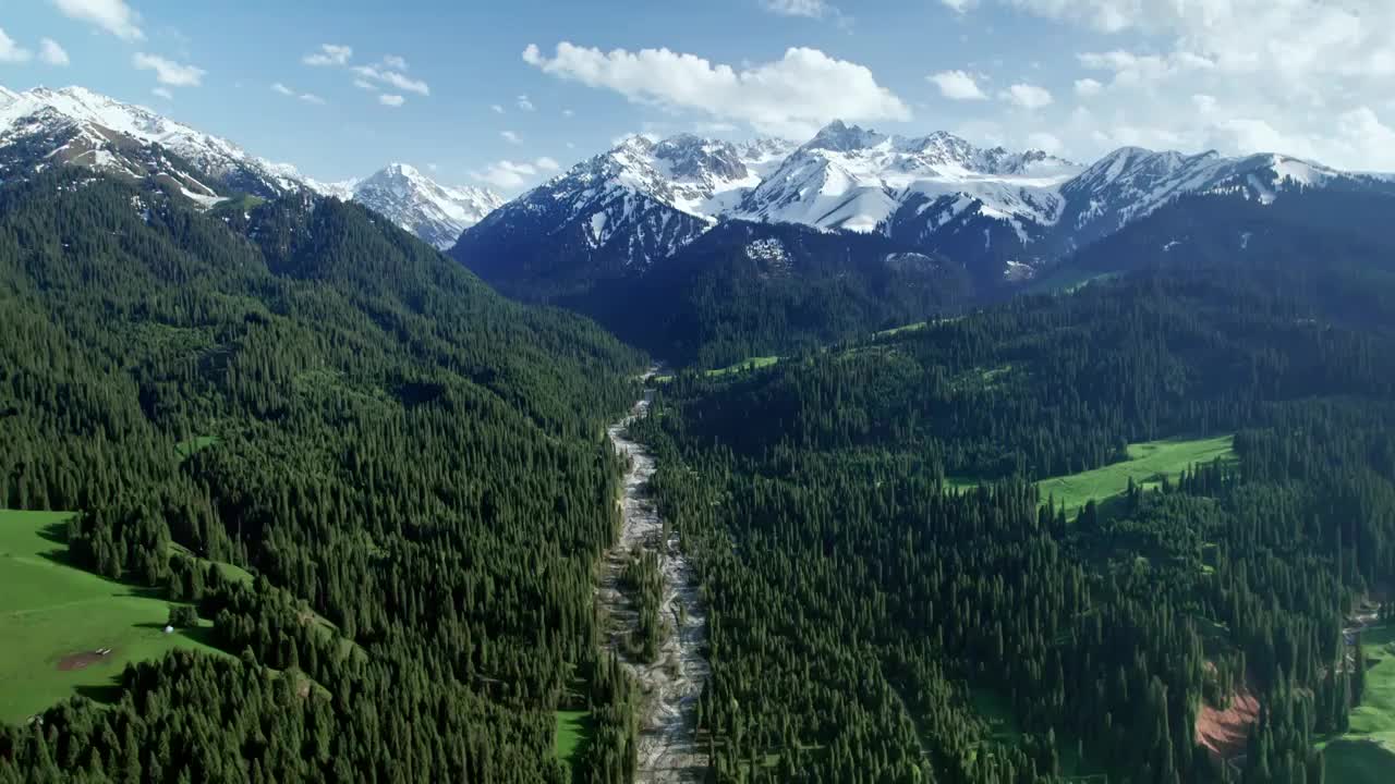 航拍恰西森林公园森林雪山视频素材