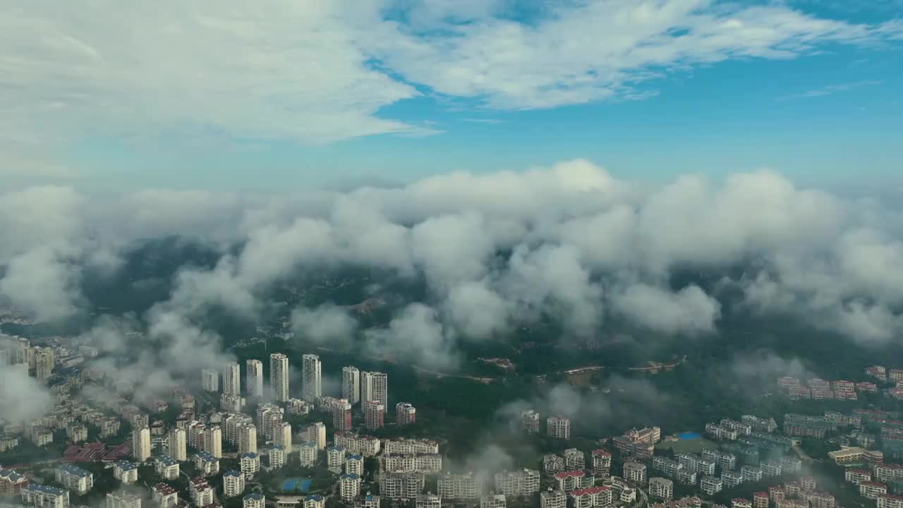 青岛的平流雾视频素材