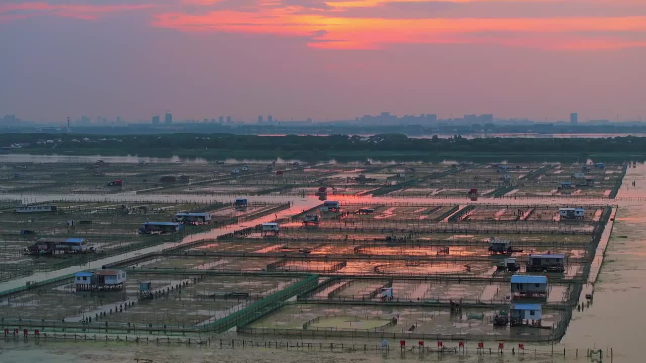 苏州园区阳澄湖大闸蟹养殖基地日落航拍视频下载