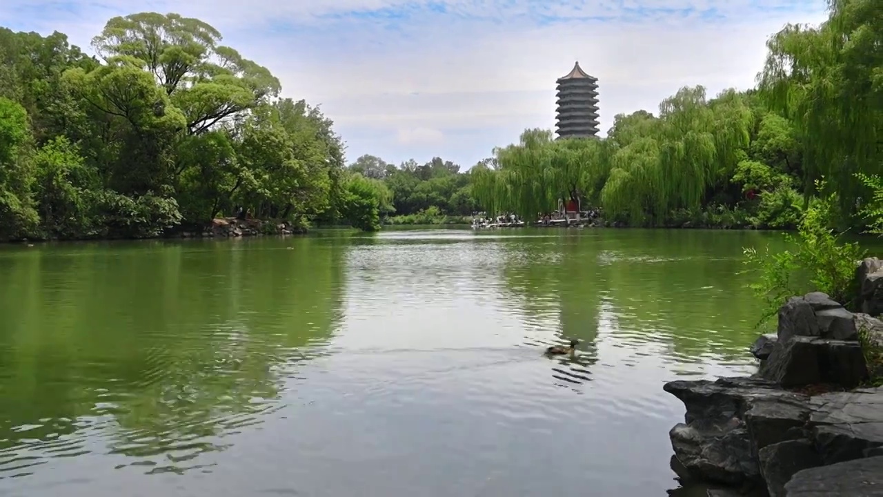 中国北京市北京大学未名湖视频素材