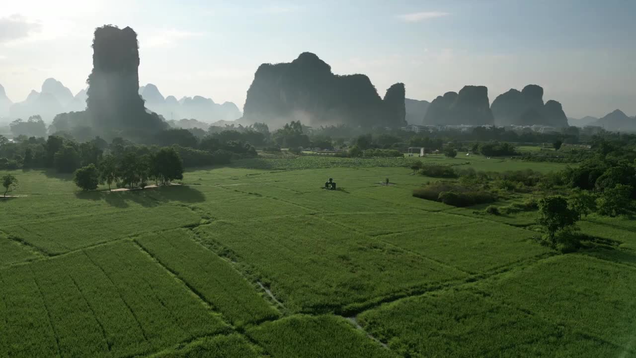 航拍广西桂林阳朔稻田农业生态旅游稻田风光视频素材