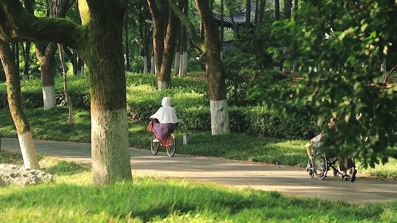 夏天城市中的森林公园行人在绿道上经过视频素材