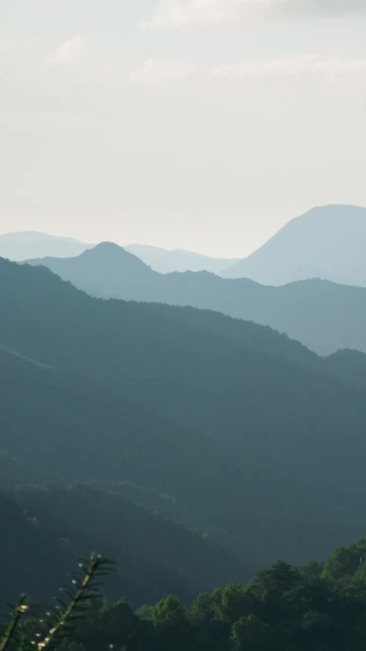 傍晚日光照在黄山区山谷竖屏视频素材