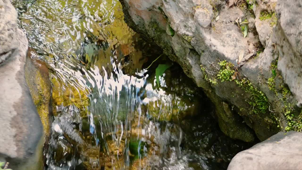 原始森林山谷幽静野外溪流潺潺流水浑然天成泉水涓流清澈无比纯净溪流夏日清凉流水原始清澈山涧自然风光视频素材