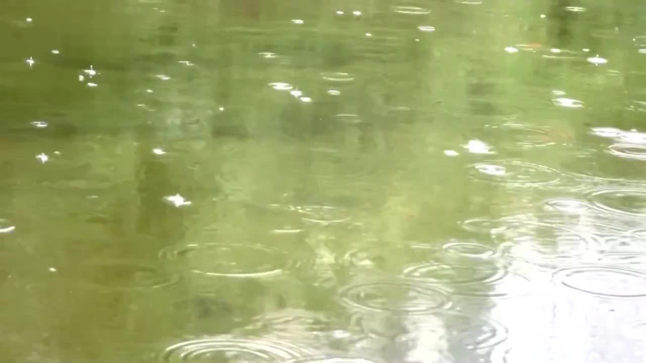 雨点儿滴落在水面上视频素材