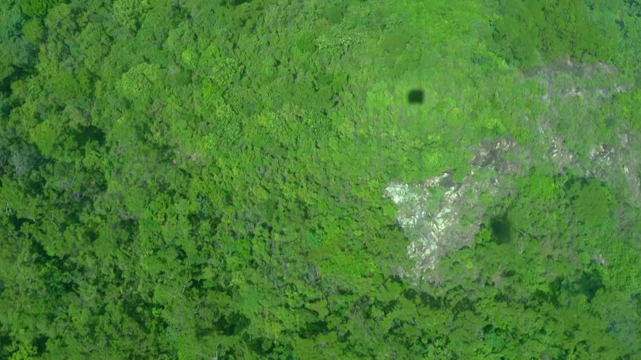 香港离岛大屿山山顶森林高视角俯拍视频素材