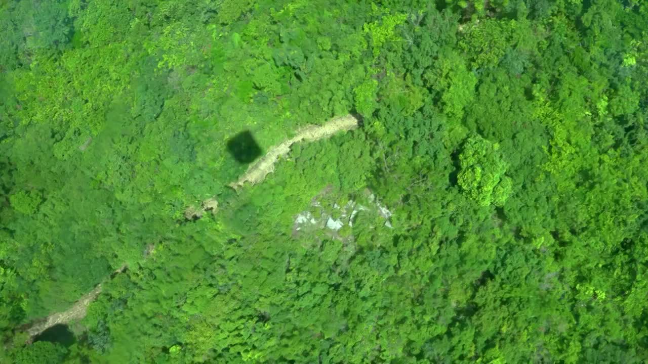 香港离岛大屿山山顶森林高视角俯拍视频素材