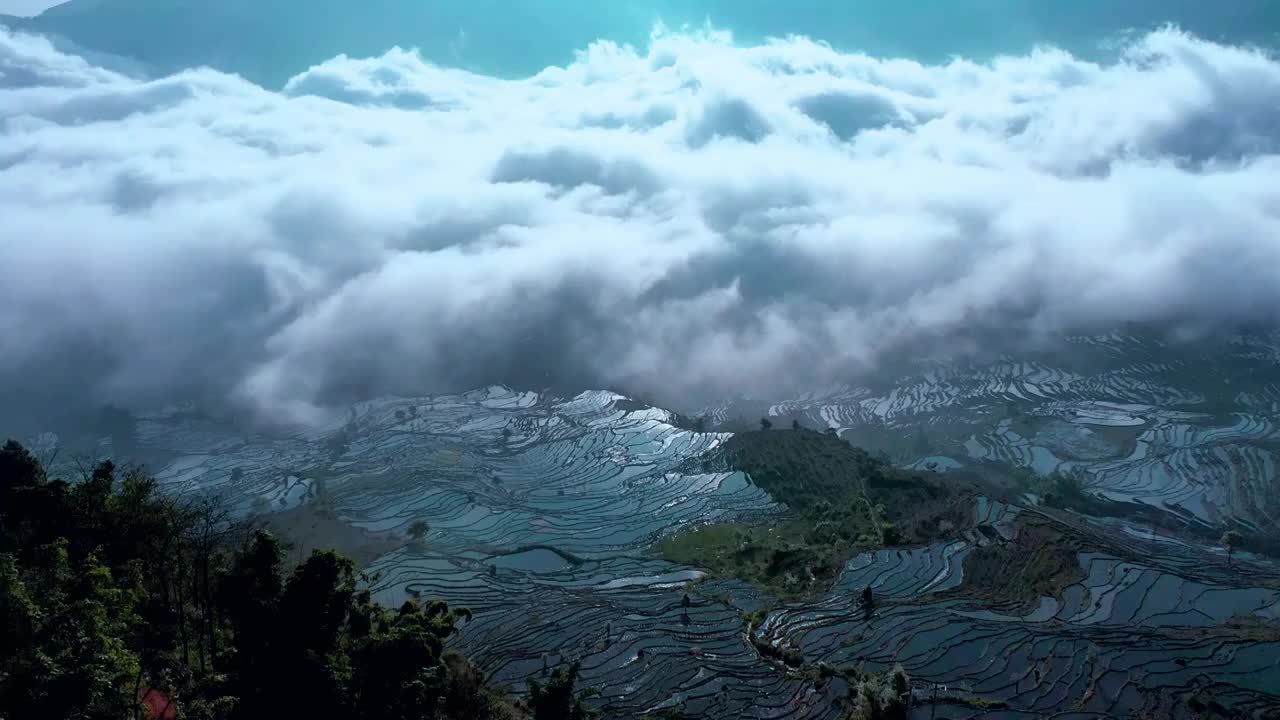 航拍云南红河县撒马坝梯田云海风光视频素材