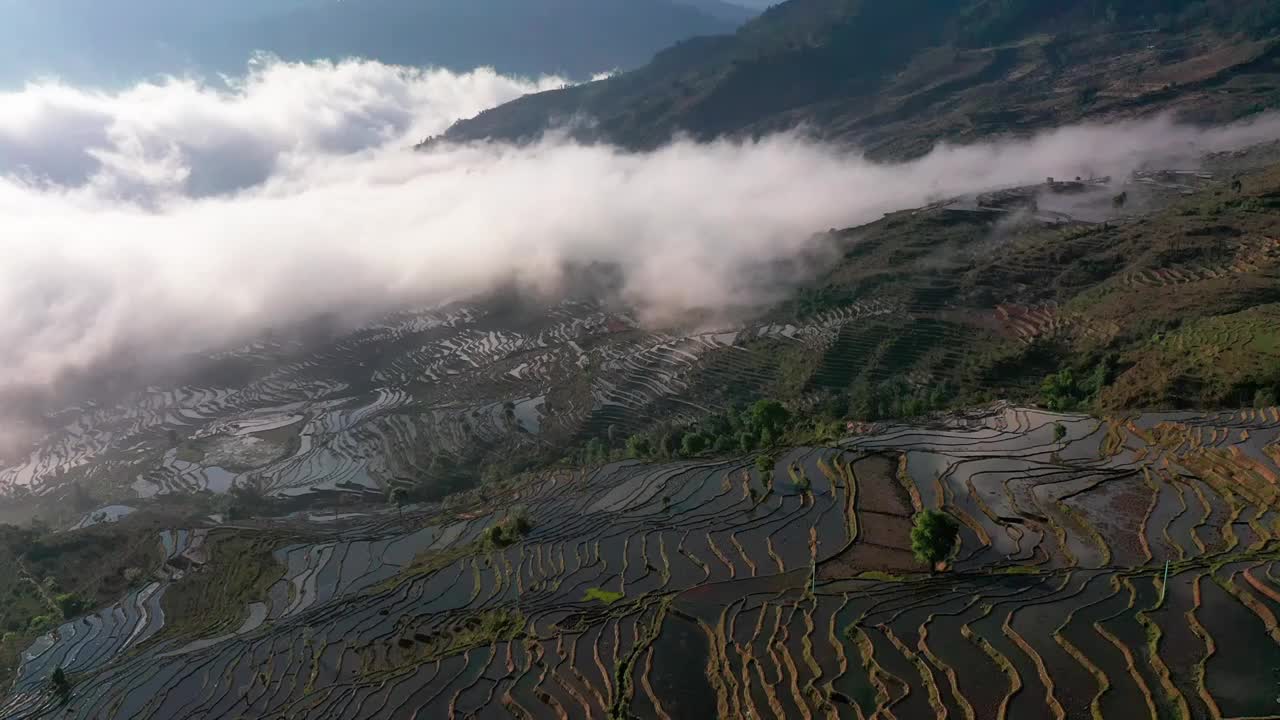 航拍云南红河县撒马坝梯田云海风光视频素材