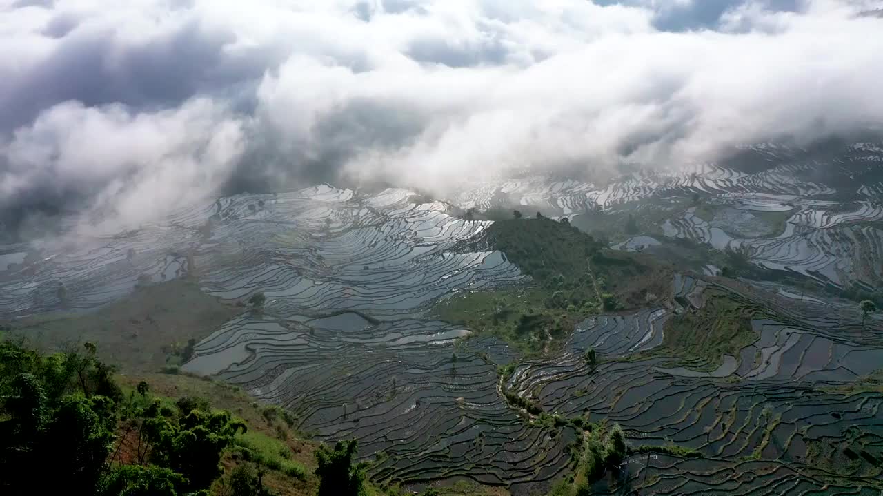 航拍云南红河县撒马坝梯田云海风光视频素材