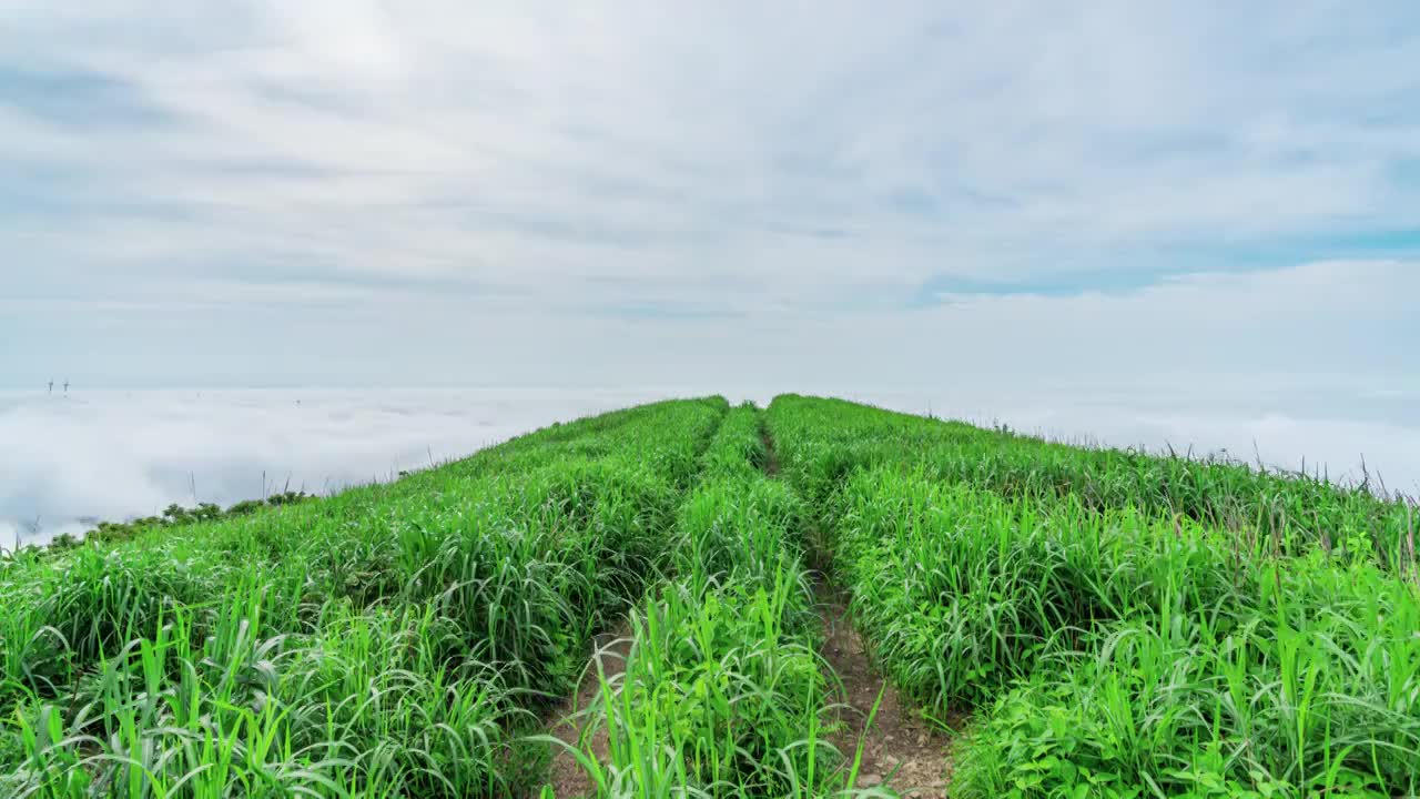 宁波北仑东盘山云海视频素材