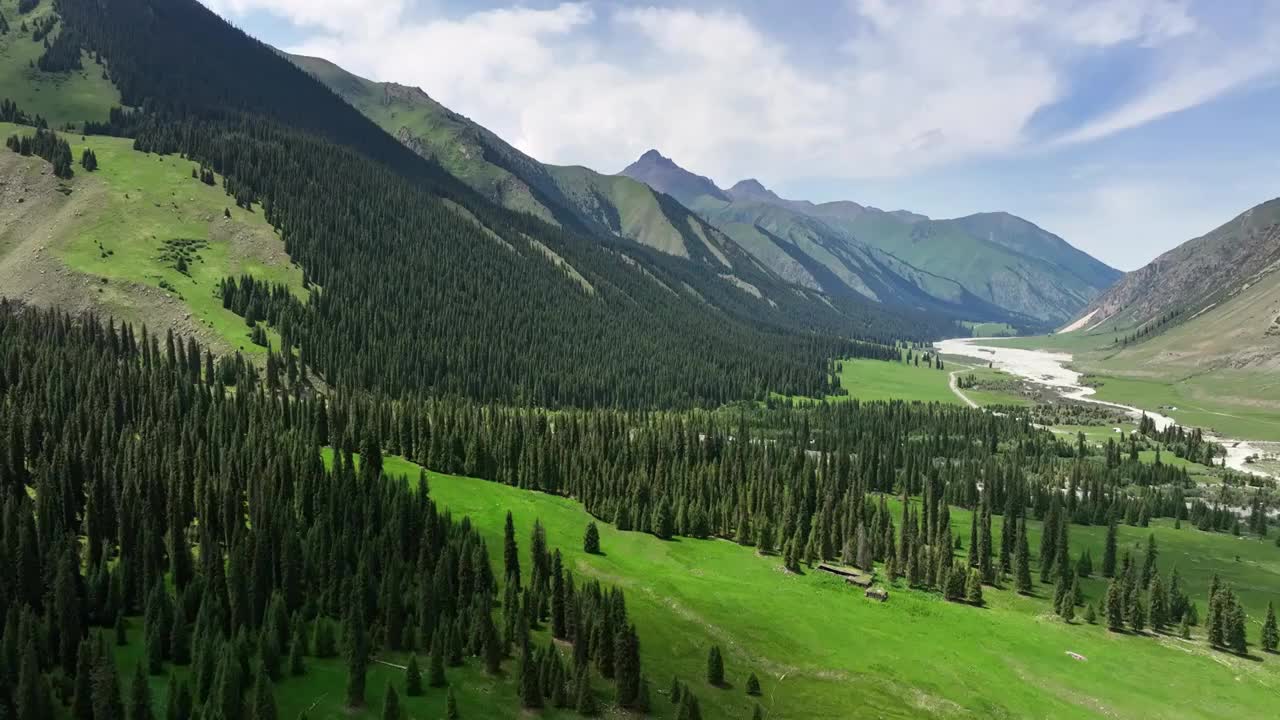 昭苏夏塔景区木札特峰 草原林场雪山冰川视频素材