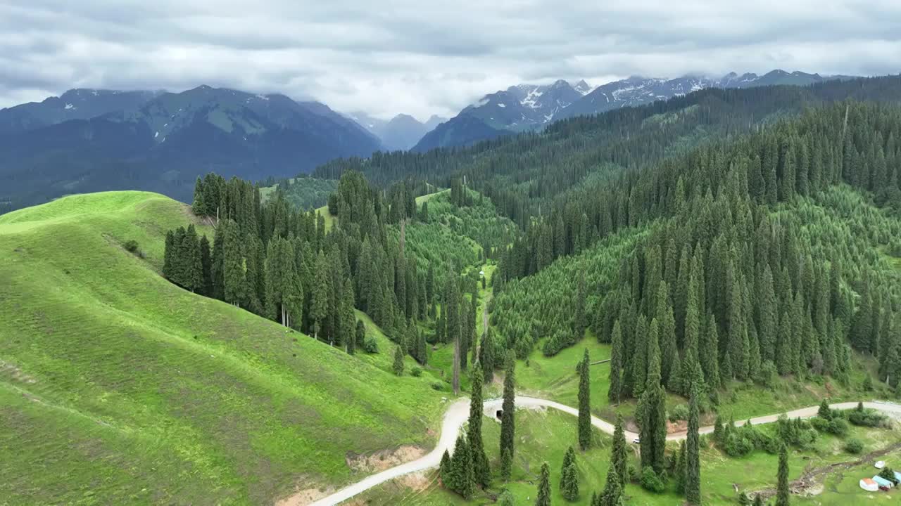 新疆伊犁 恰西草原 自然风光 旅行 马群视频素材